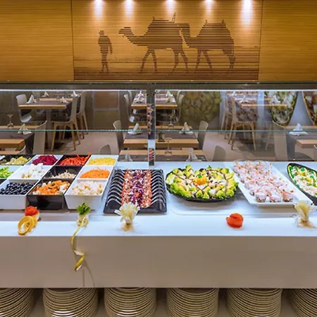 酒店 阿尔罕布拉酒店 4*